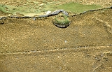 599_Langs de Incatrail, beneden lopen de lastdieren